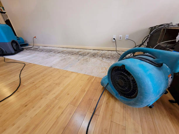 Professional Flood Damage Cleanup technician working in Deckerville, MI